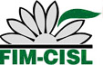 fim_cisl_molise.jpg